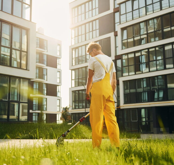 Olemar koristusteenus